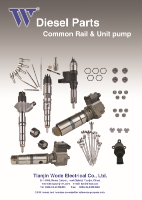 Diesel Parts - Common Rail & Unit Pump